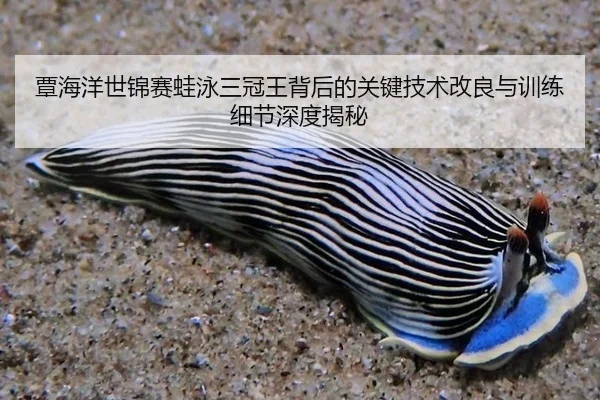 覃海洋世锦赛蛙泳三冠王背后的关键技术改良与训练细节深度揭秘