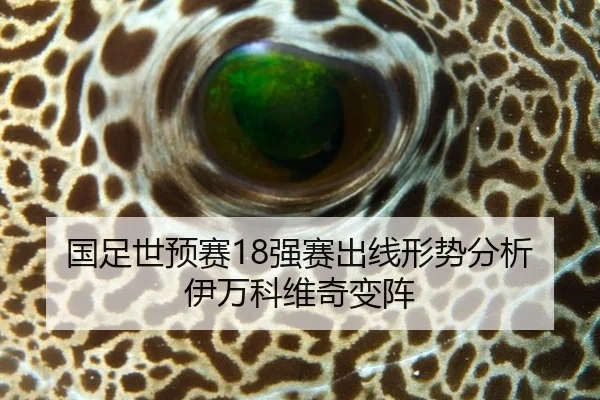 国足世预赛18强赛出线形势分析伊万科维奇变阵