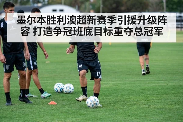 墨尔本胜利澳超新赛季引援升级阵容 打造争冠班底目标重夺总冠军